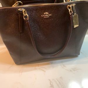 coach purse (purple)